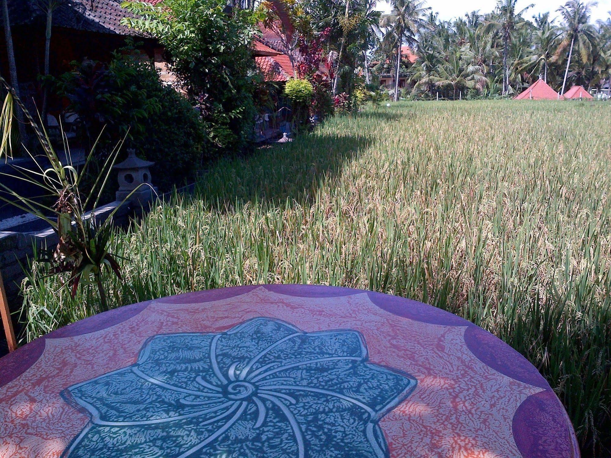 Puji And Casa de hóspedes
