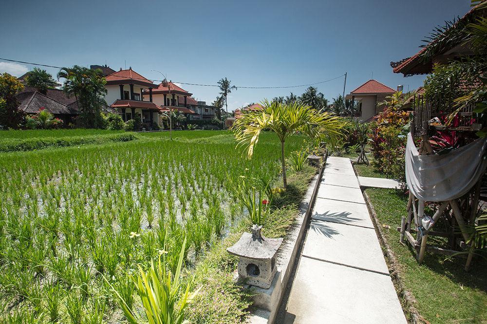 Puji And 3* Ubud (Bali)