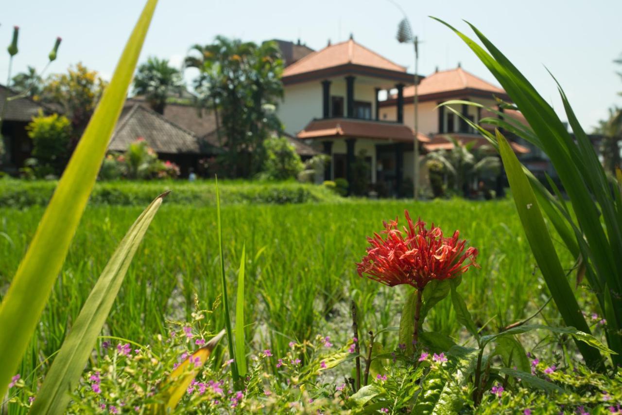 Guest house Puji And 3*
